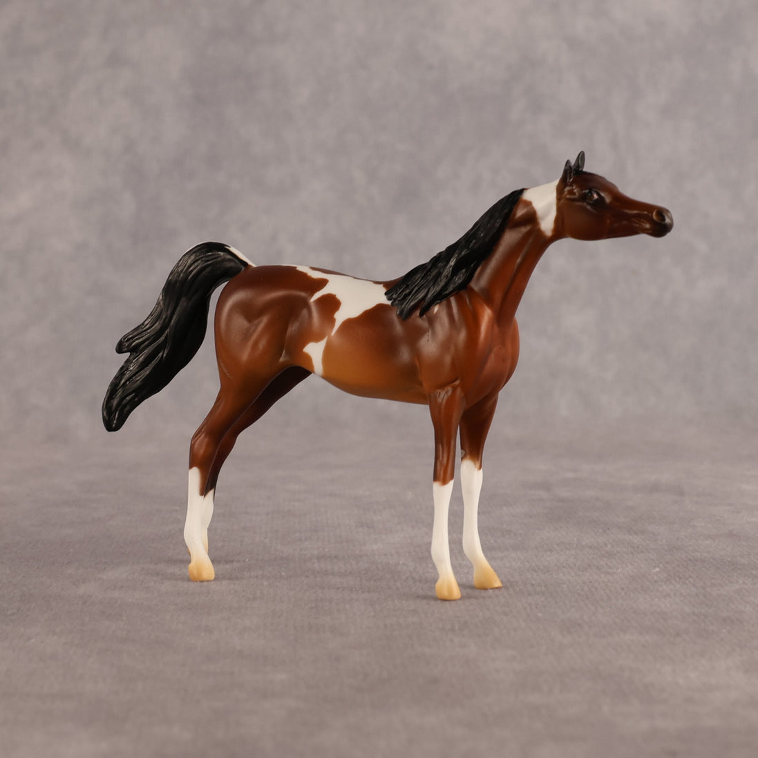 Chase the Morning OOAK Chip Arabian by Alex Fortman LHS26