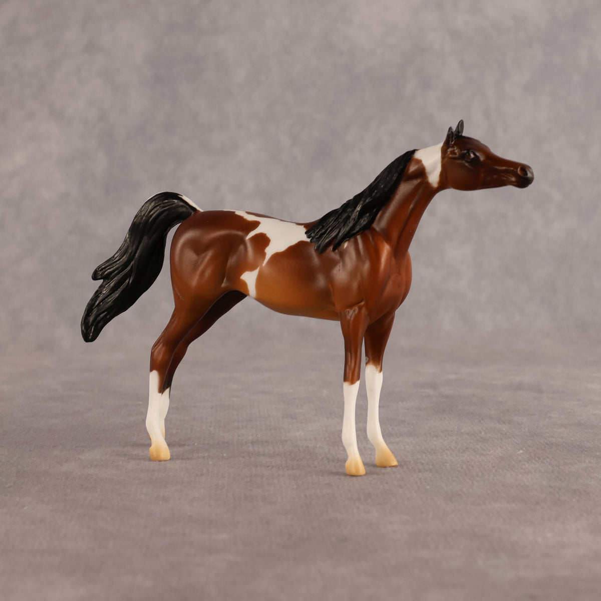 Chase the Morning OOAK Chip Arabian by Alex Fortman LHS26
