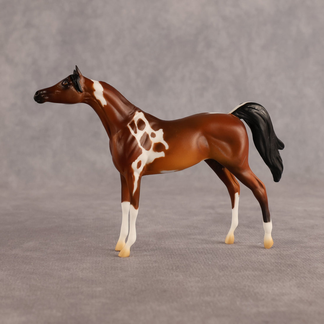Chase the Morning OOAK Chip Arabian by Alex Fortman LHS26