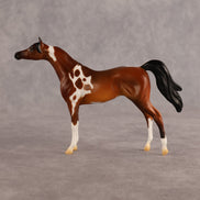 Chase the Morning OOAK Chip Arabian by Alex Fortman LHS26