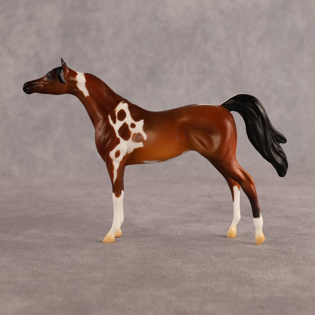 Chase the Morning OOAK Chip Arabian by Alex Fortman LHS26