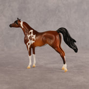 Chase the Morning OOAK Chip Arabian by Alex Fortman LHS26