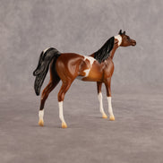 Chase the Morning OOAK Chip Arabian by Alex Fortman LHS26
