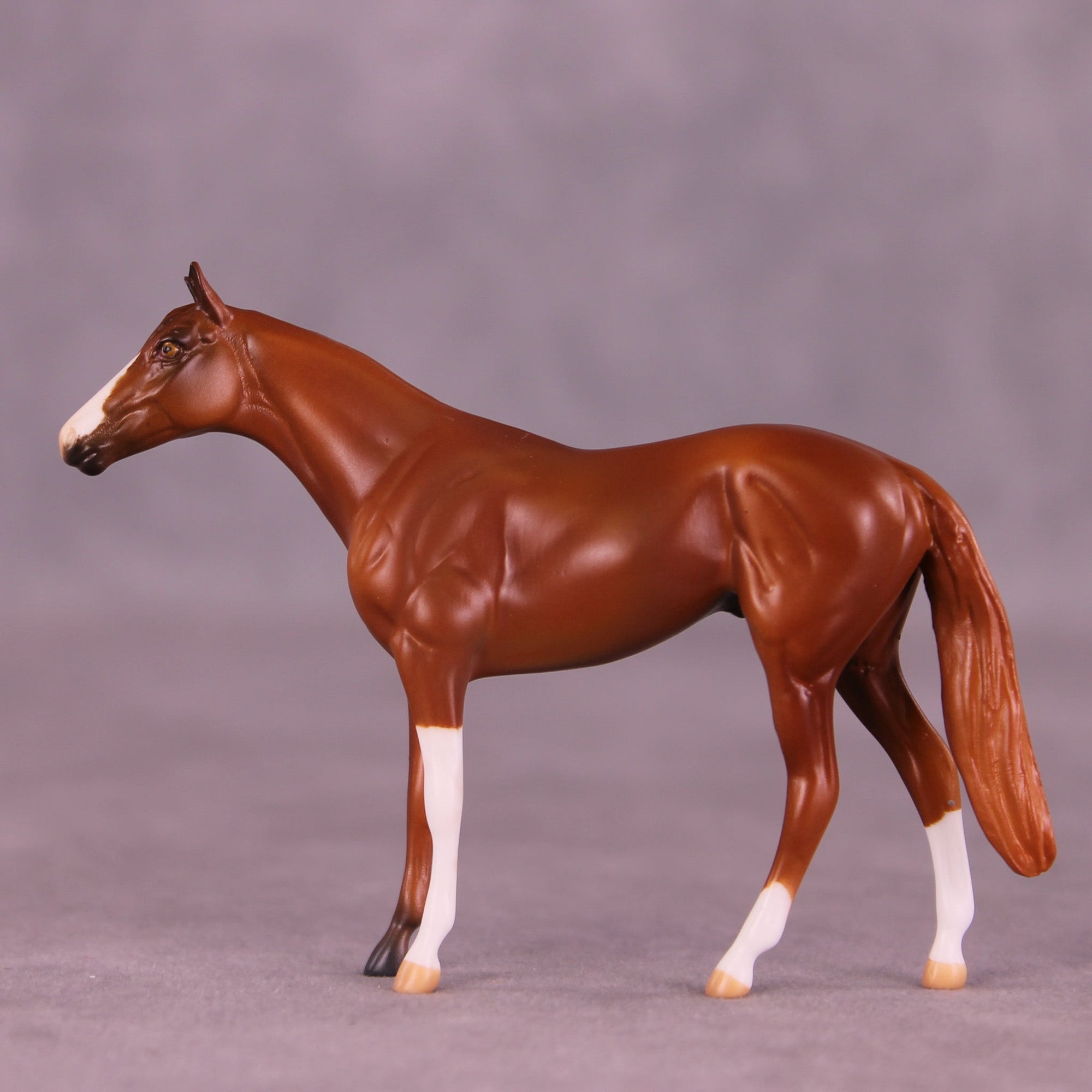 Chester OOAK Chip Thoroughbred  by Anna Rieck MM25 Group D