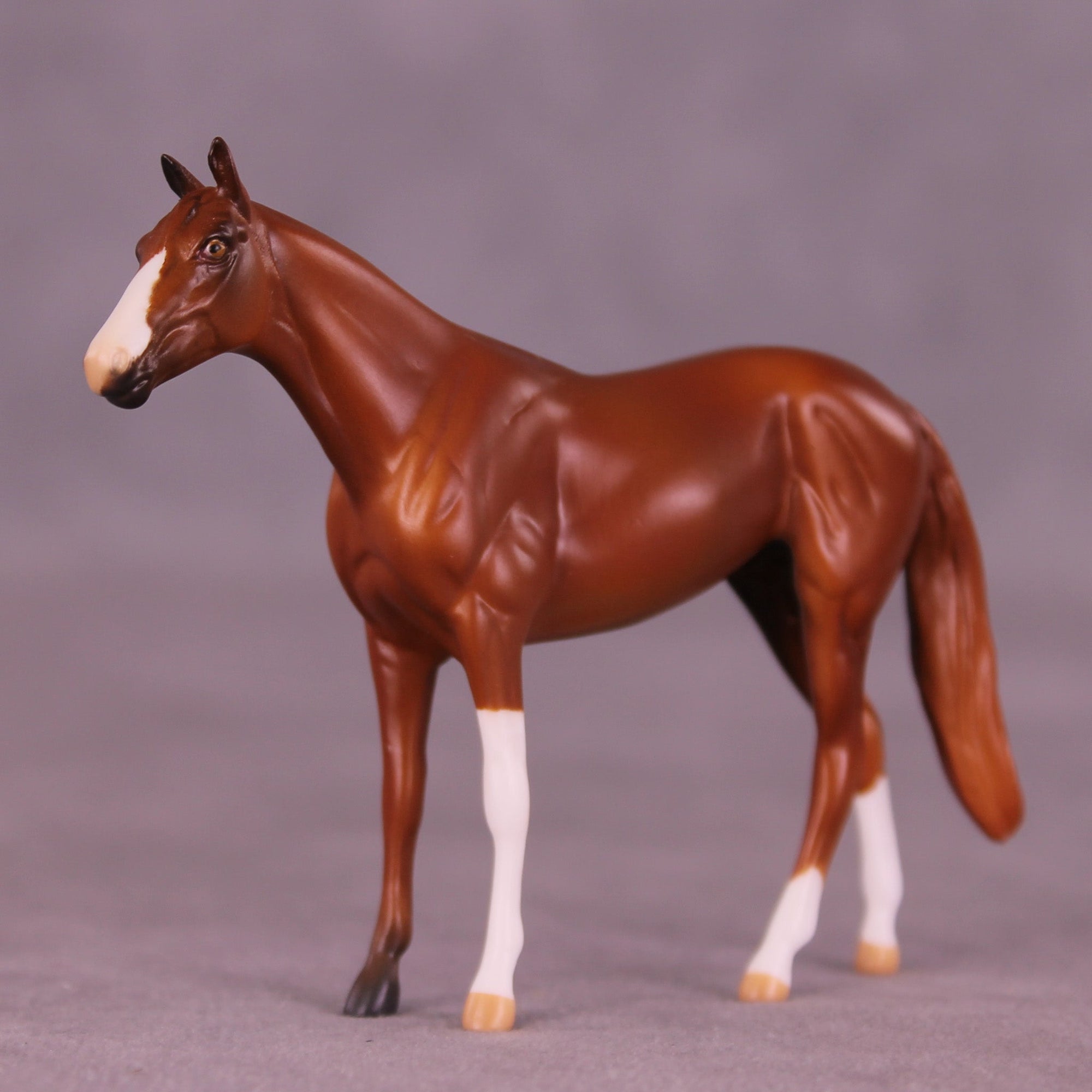 Chester OOAK Chip Thoroughbred  by Anna Rieck MM25 Group D