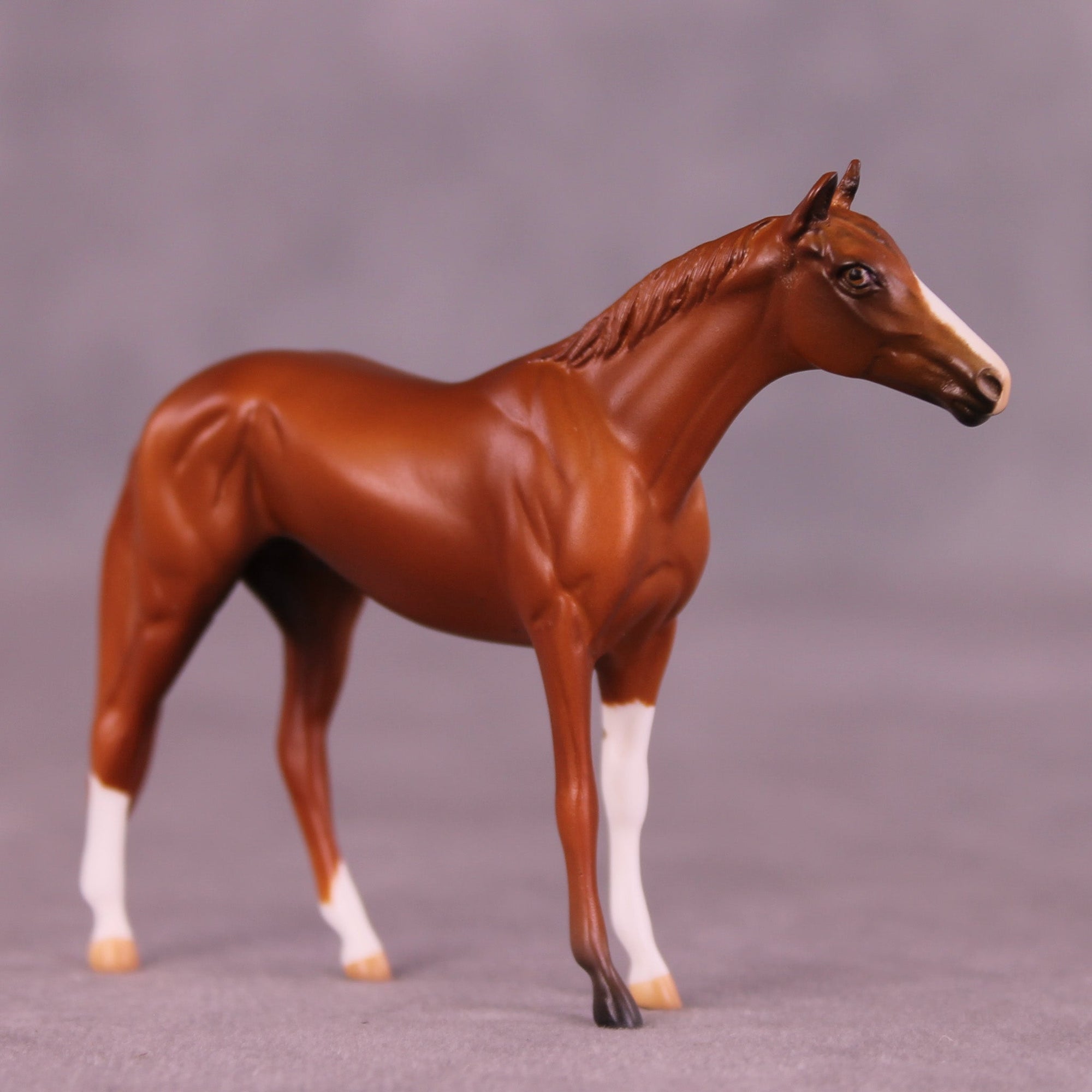 Chester OOAK Chip Thoroughbred  by Anna Rieck MM25 Group D
