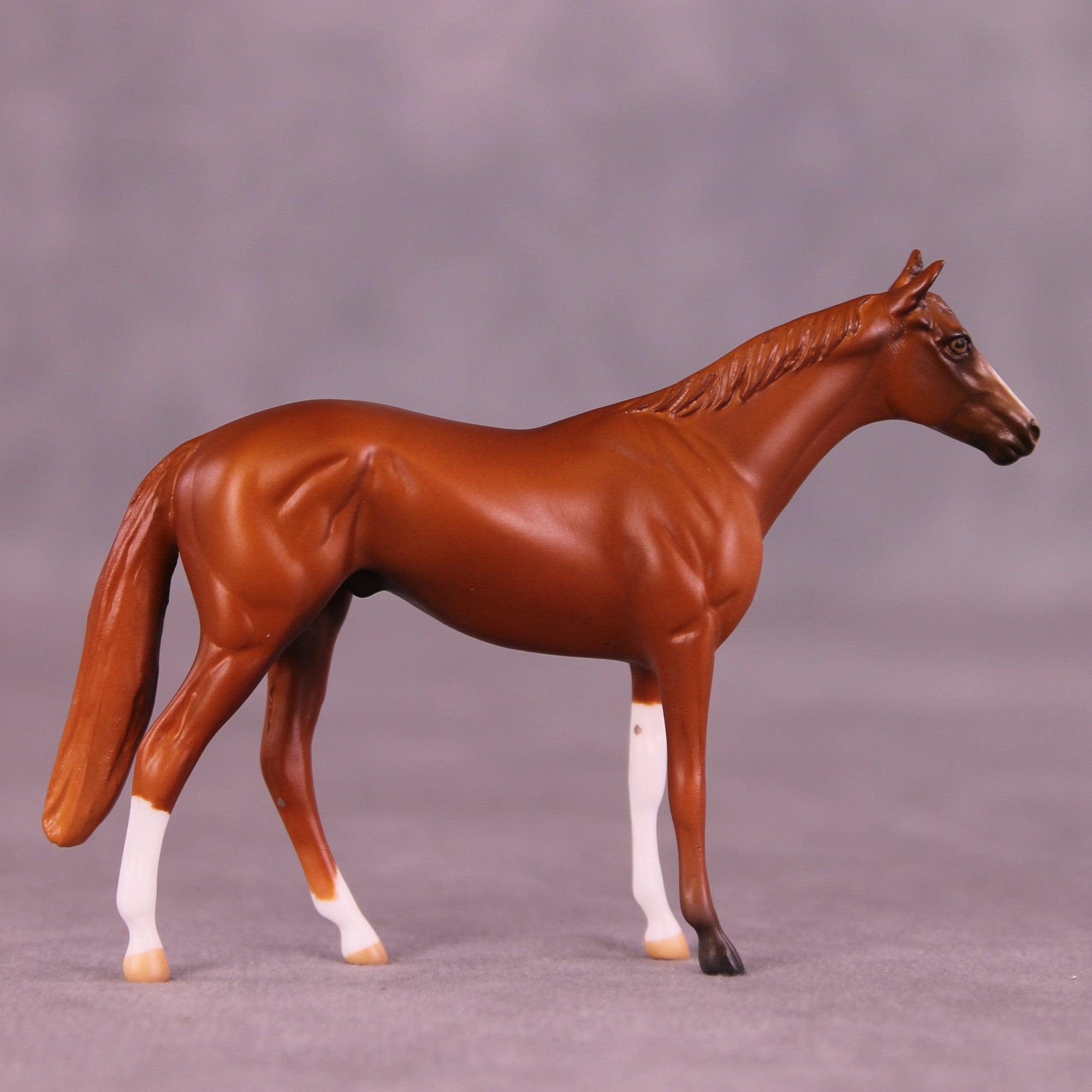 Chester OOAK Chip Thoroughbred  by Anna Rieck MM25 Group D
