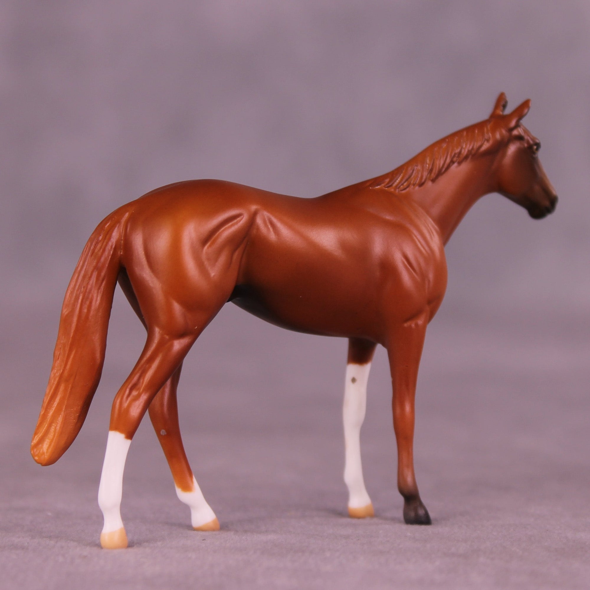 Chester OOAK Chip Thoroughbred  by Anna Rieck MM25 Group D