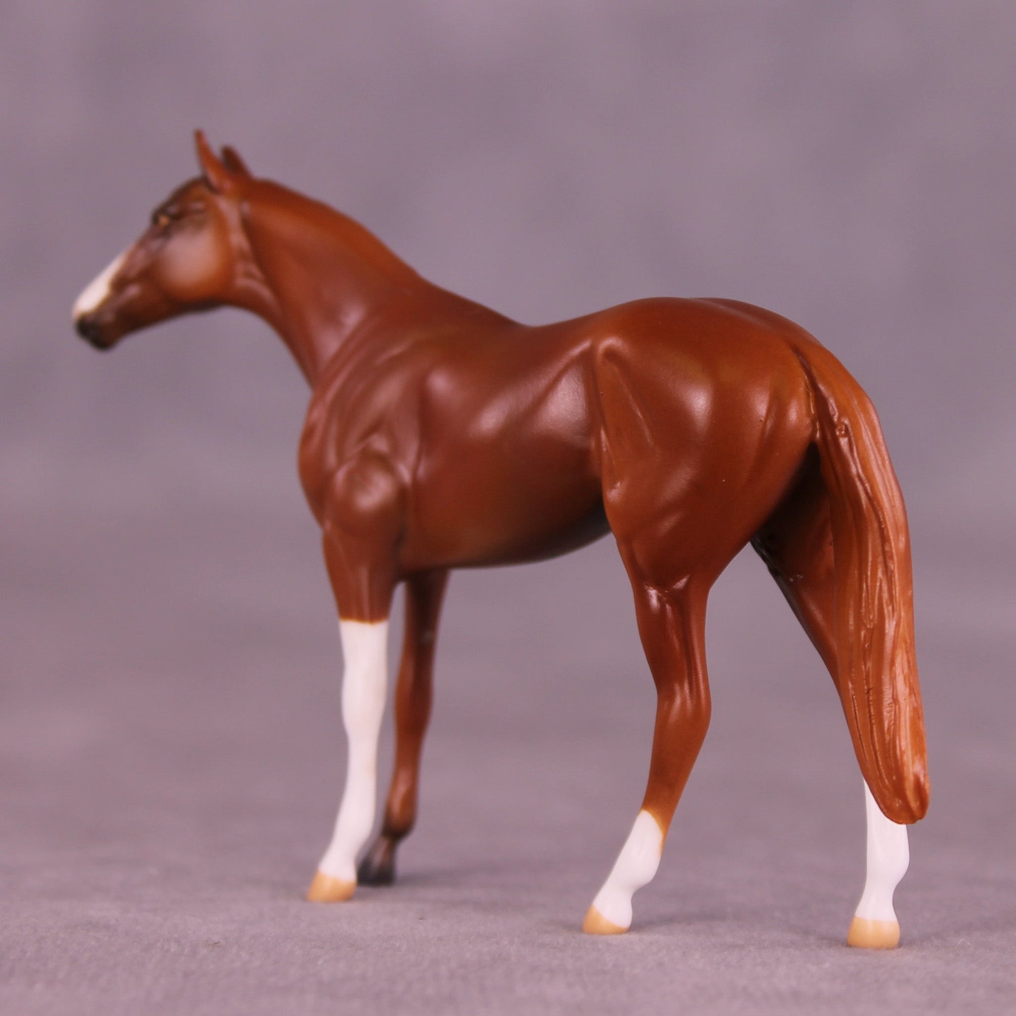 Chester OOAK Chip Thoroughbred  by Anna Rieck MM25 Group D