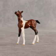 Dove & Chick OOAK Chip FCM Stock Horse & Chip Foal by Anna Rieck SCD26