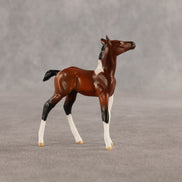 Dove & Chick OOAK Chip FCM Stock Horse & Chip Foal by Anna Rieck SCD26
