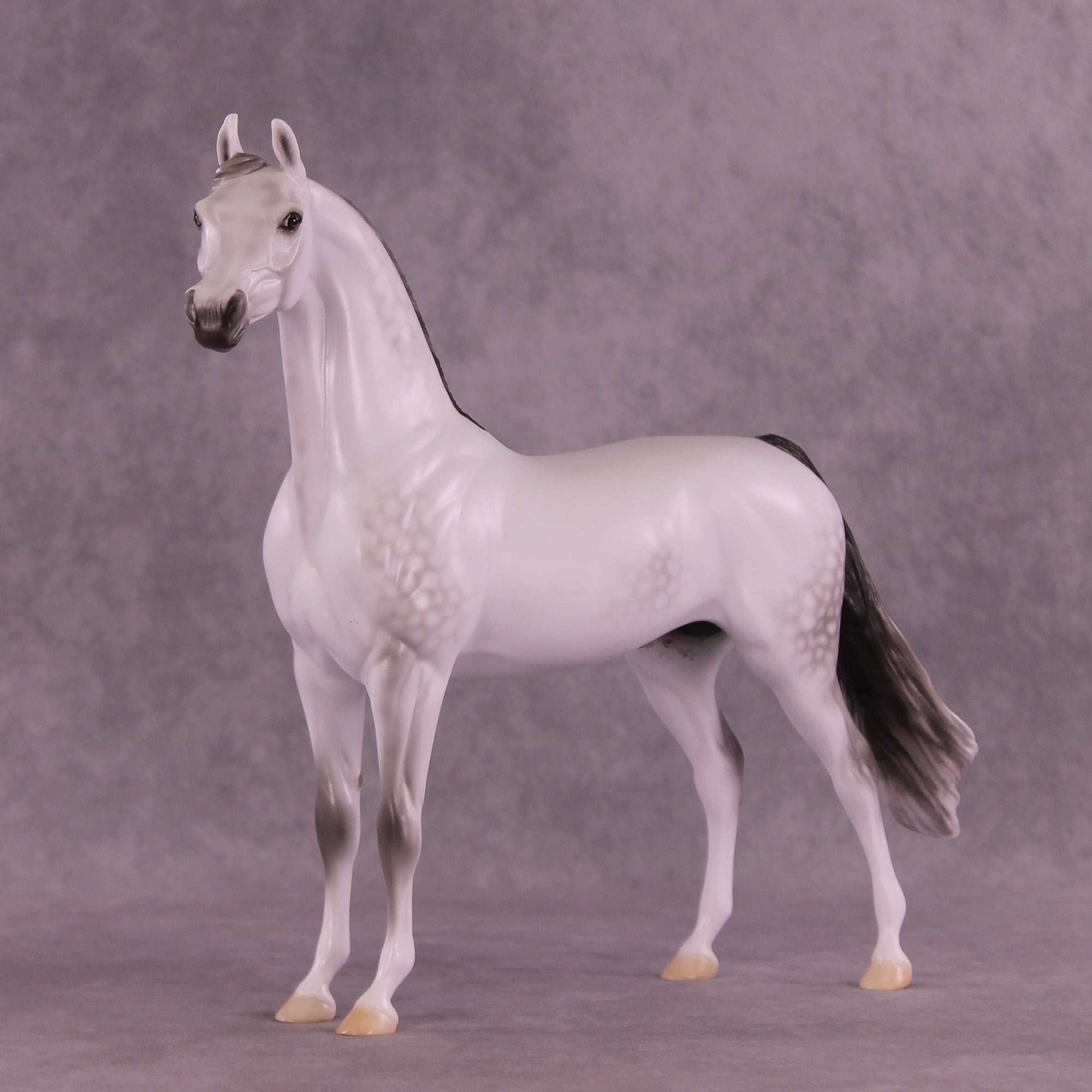 Chill Touch Upcast OOAK Arabian Stallion by Ellen Robbins MM25 Group B