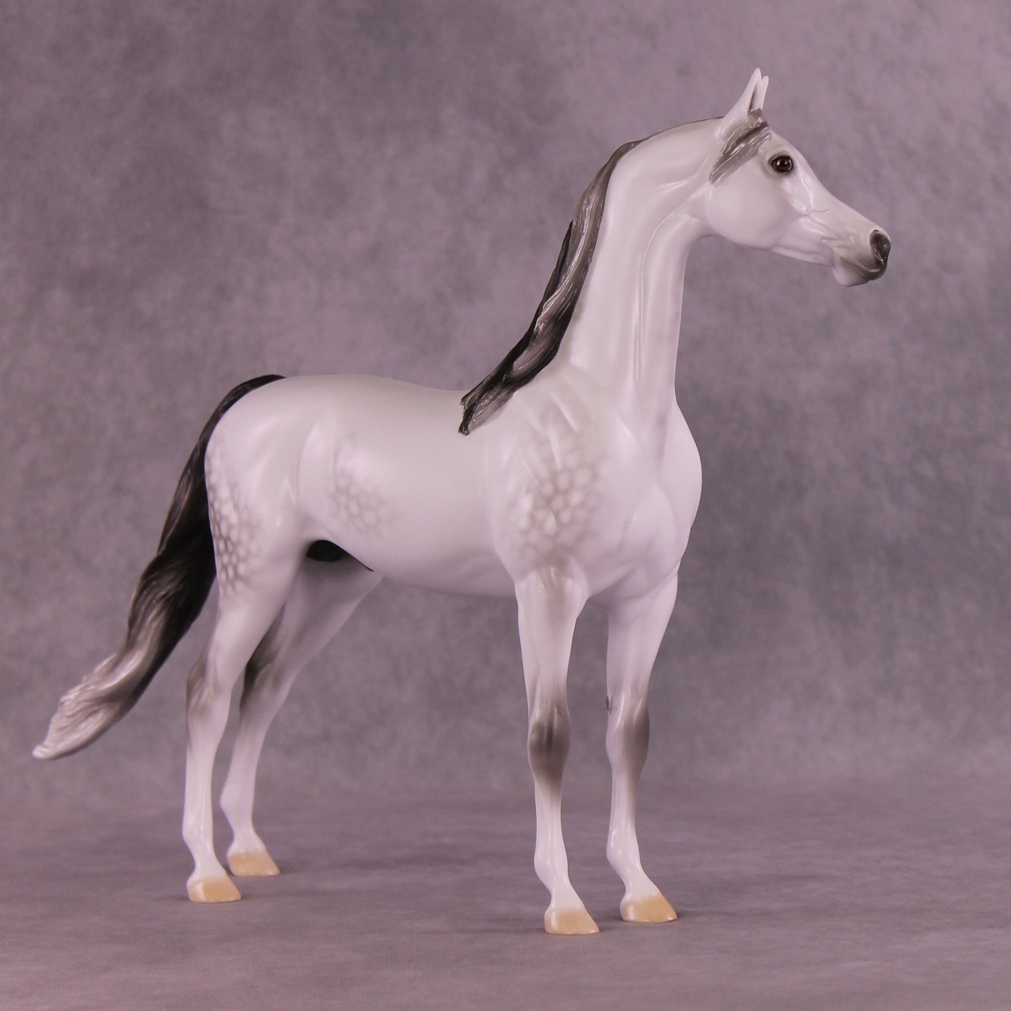 Chill Touch Upcast OOAK Arabian Stallion by Ellen Robbins MM25 Group B