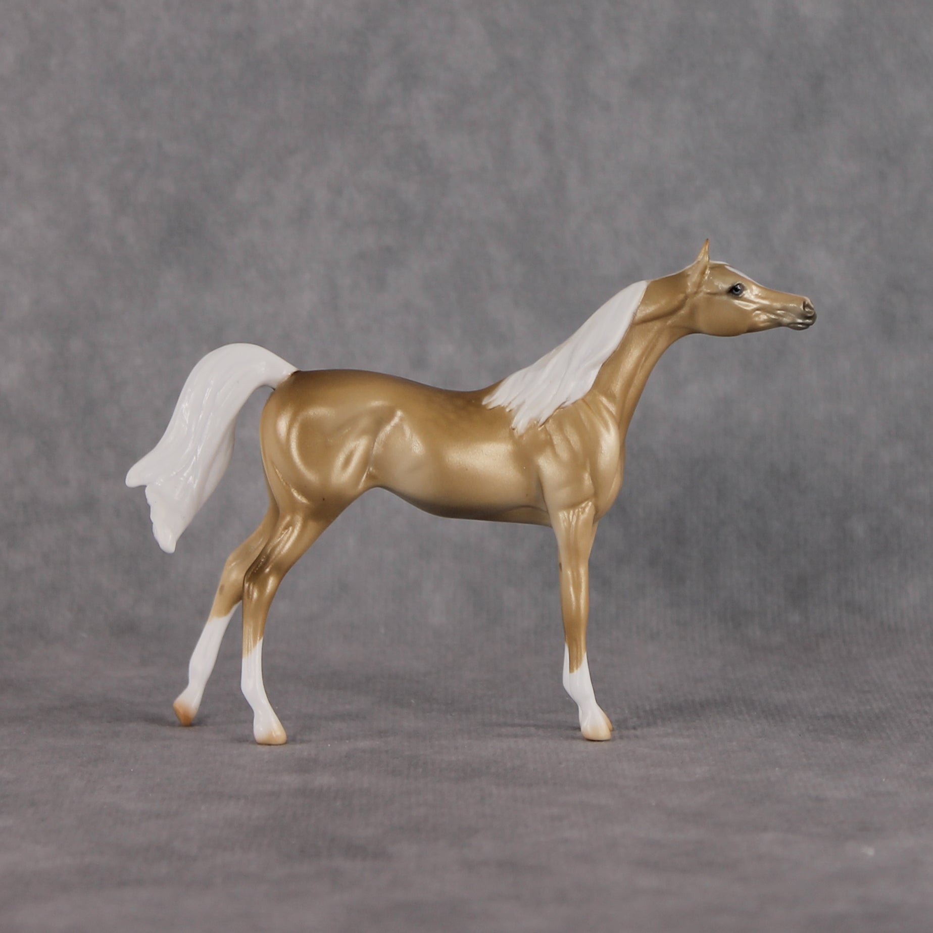Chilling Wind LE-10 FCM Chip Arabian by Ellen Robbins YP26