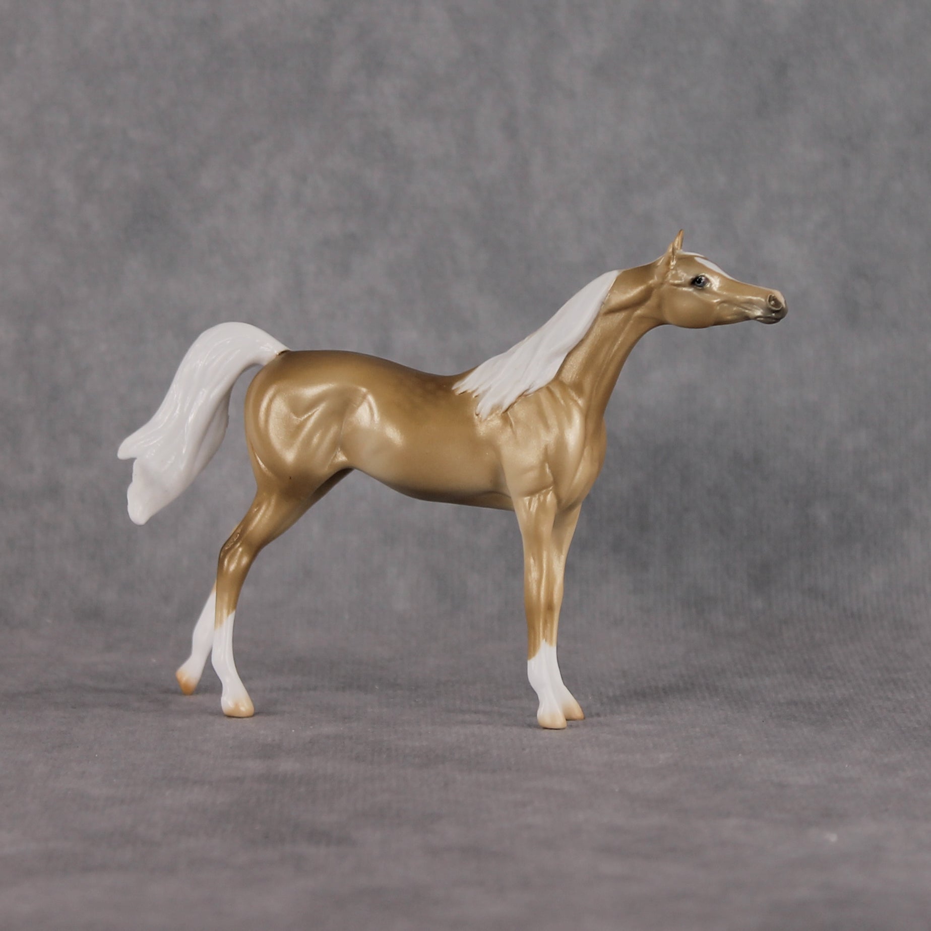 Chilling Wind LE-10 FCM Chip Arabian by Ellen Robbins YP26
