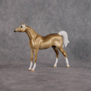 Chilling Wind LE-10 FCM Chip Arabian by Ellen Robbins YP26