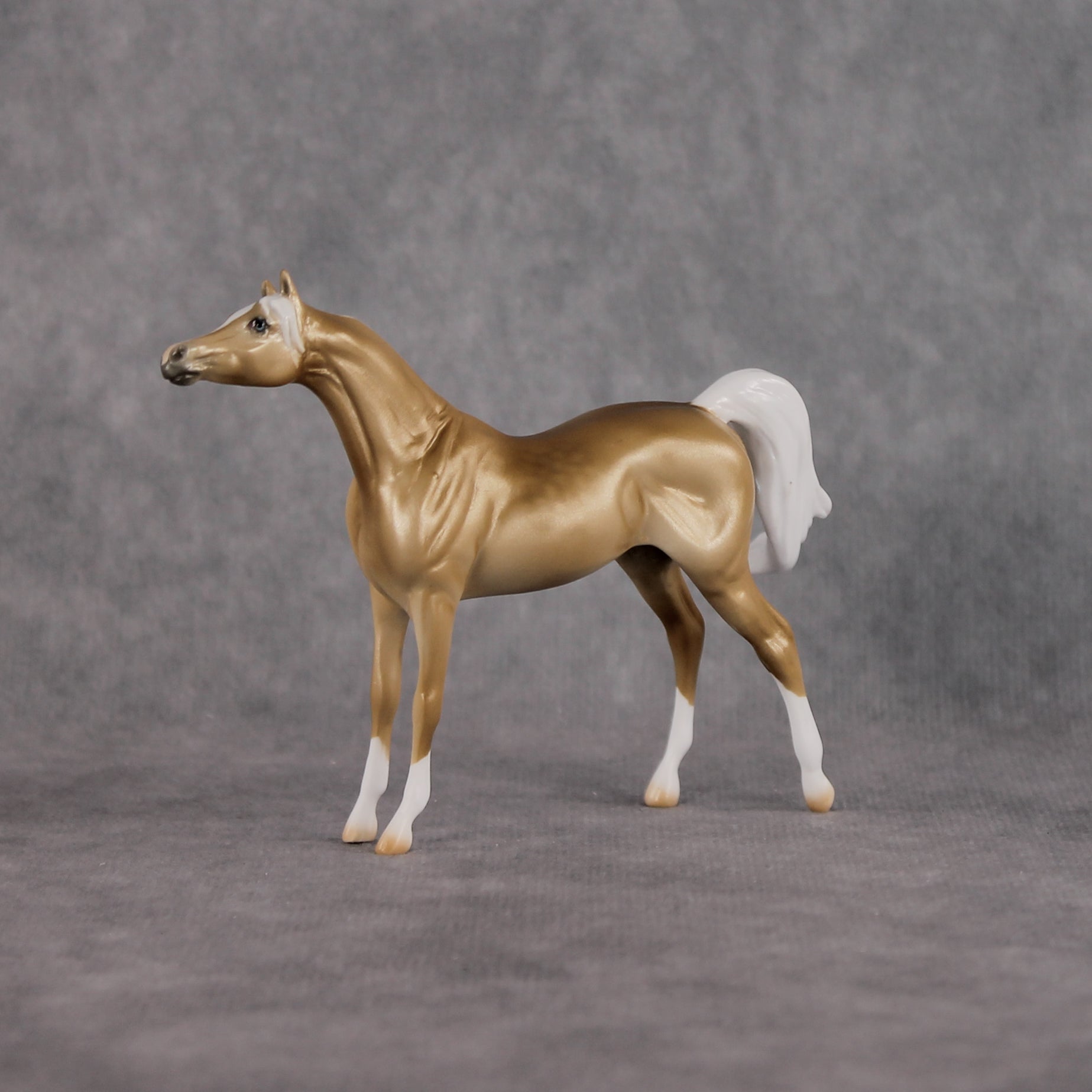 Chilling Wind LE-10 FCM Chip Arabian by Ellen Robbins YP26