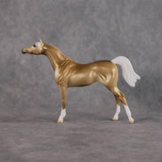 Chilling Wind LE-10 FCM Chip Arabian by Ellen Robbins YP26