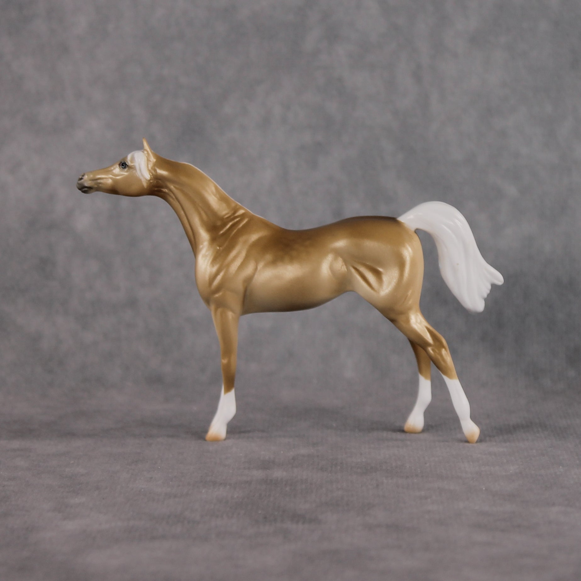 Chilling Wind LE-10 FCM Chip Arabian by Ellen Robbins YP26