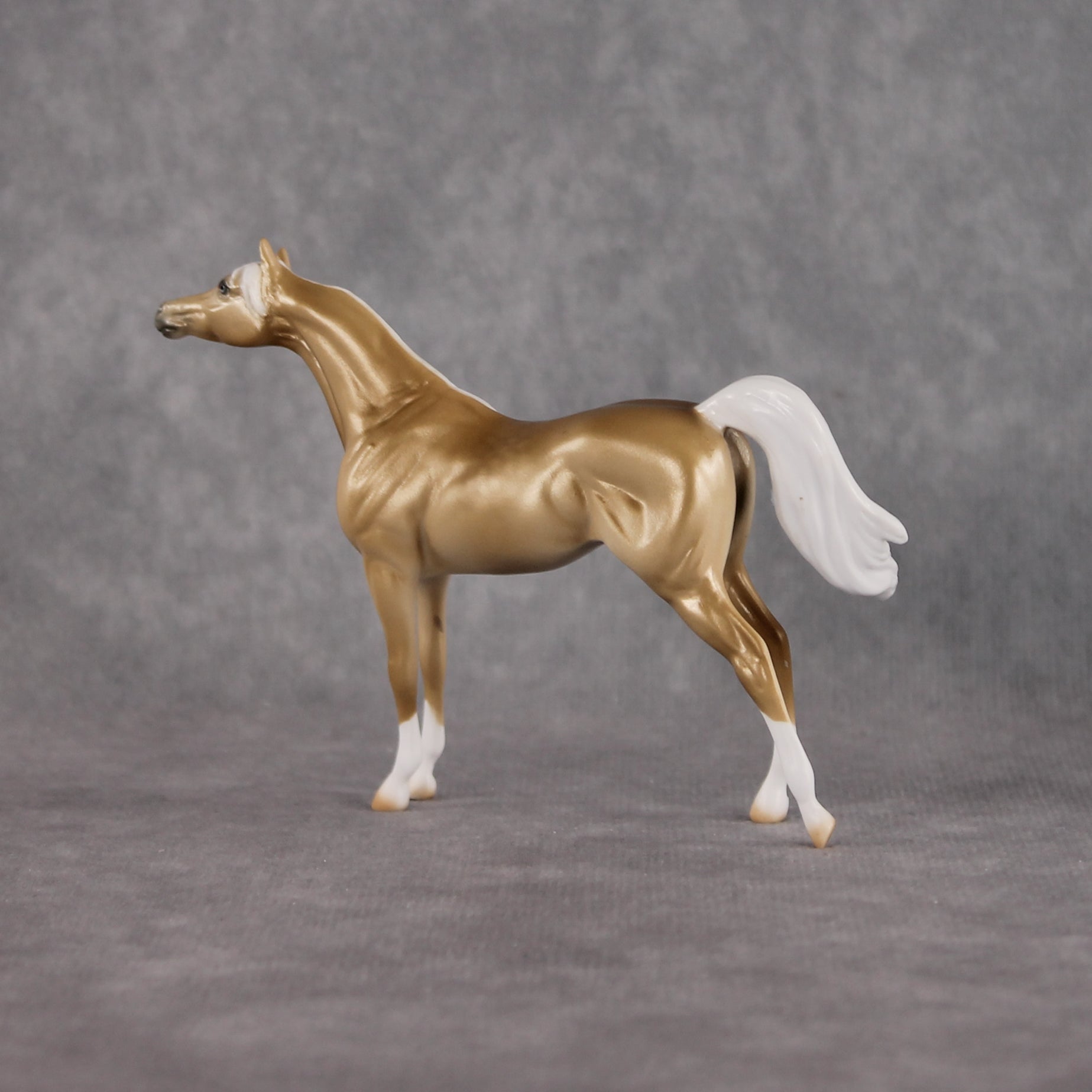 Chilling Wind LE-10 FCM Chip Arabian by Ellen Robbins YP26