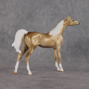 Chilling Wind LE-10 FCM Chip Arabian by Ellen Robbins YP26
