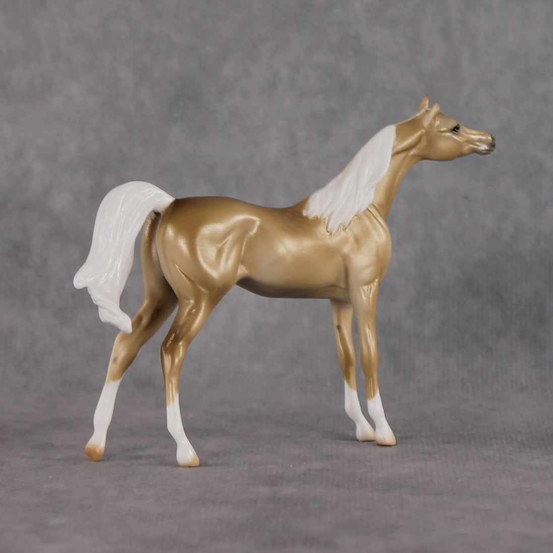 Chilling Wind LE-10 FCM Chip Arabian by Ellen Robbins YP26