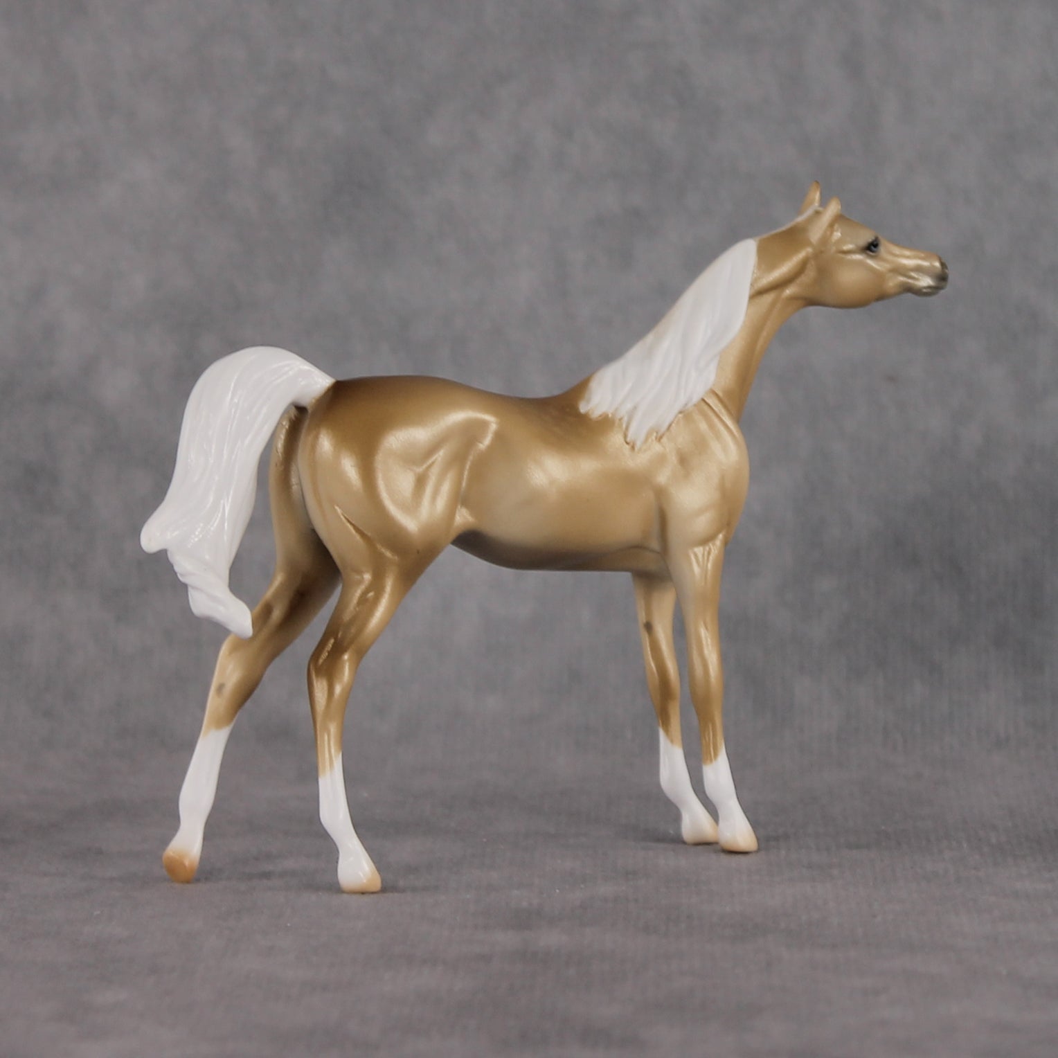 Chilling Wind LE-10 FCM Chip Arabian by Ellen Robbins YP26