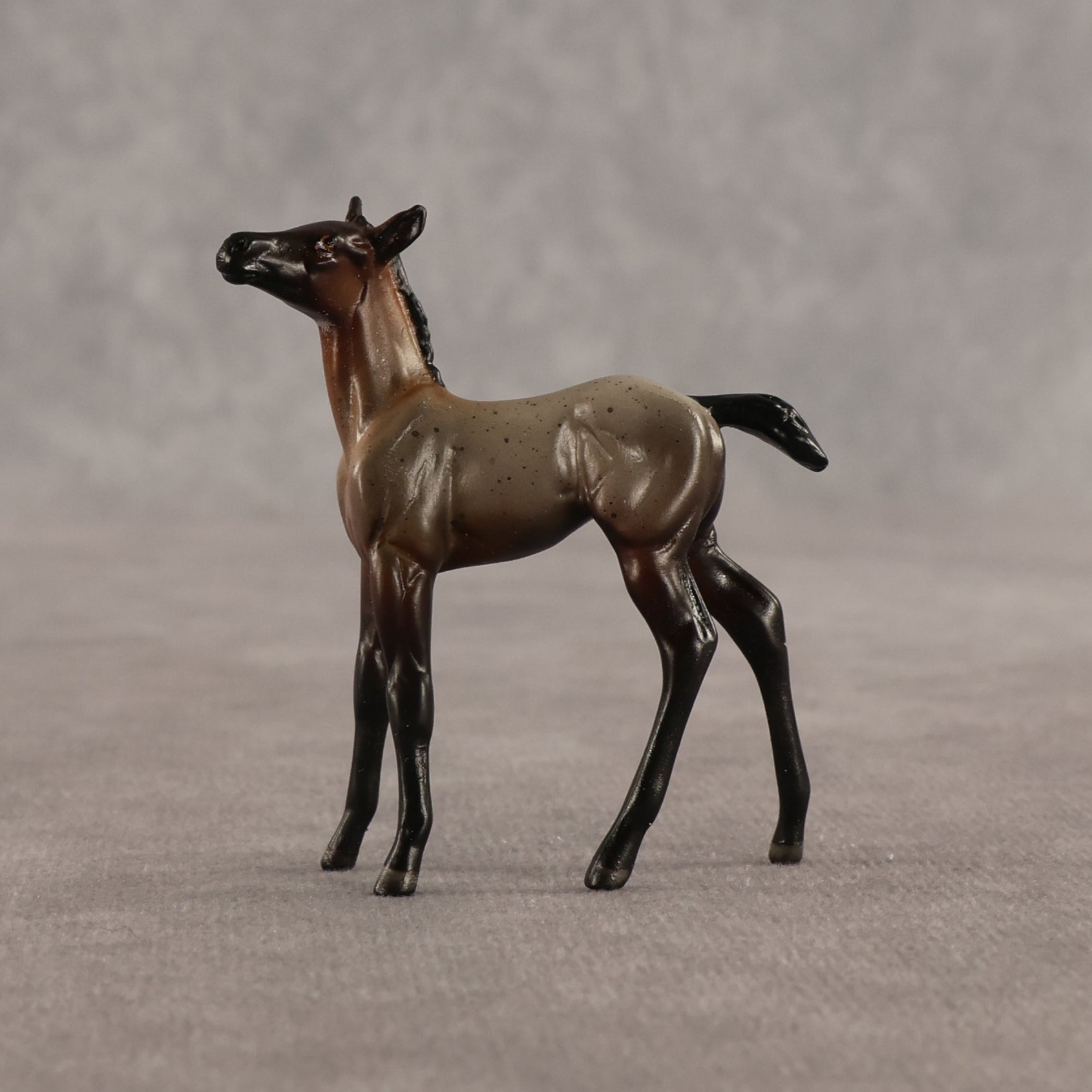 Cookie & Chocolate Chip OOAK Chip FCM Stock Horse & Chip Foal by Anna Rieck SCD26
