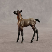 Cookie & Chocolate Chip OOAK Chip FCM Stock Horse & Chip Foal by Anna Rieck SCD26