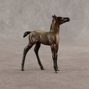 Cookie & Chocolate Chip OOAK Chip FCM Stock Horse & Chip Foal by Anna Rieck SCD26