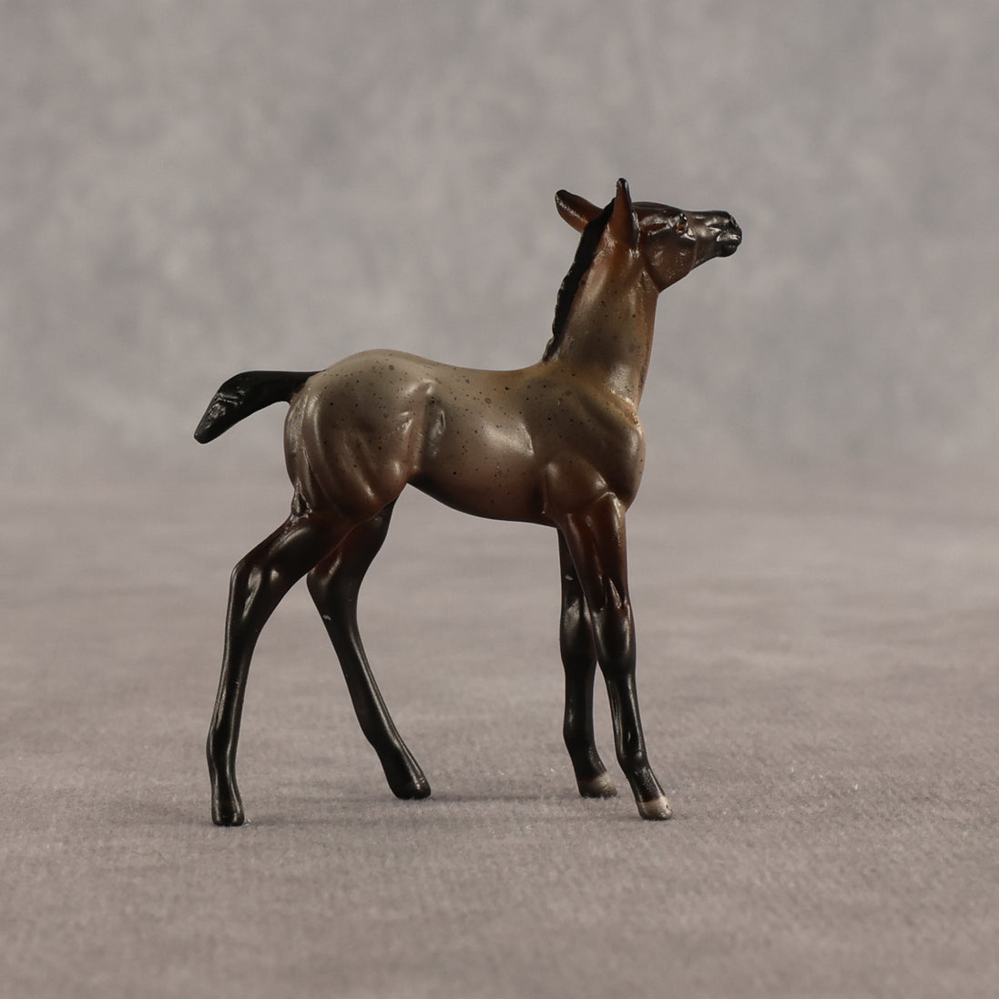 Cookie & Chocolate Chip OOAK Chip FCM Stock Horse & Chip Foal by Anna Rieck SCD26