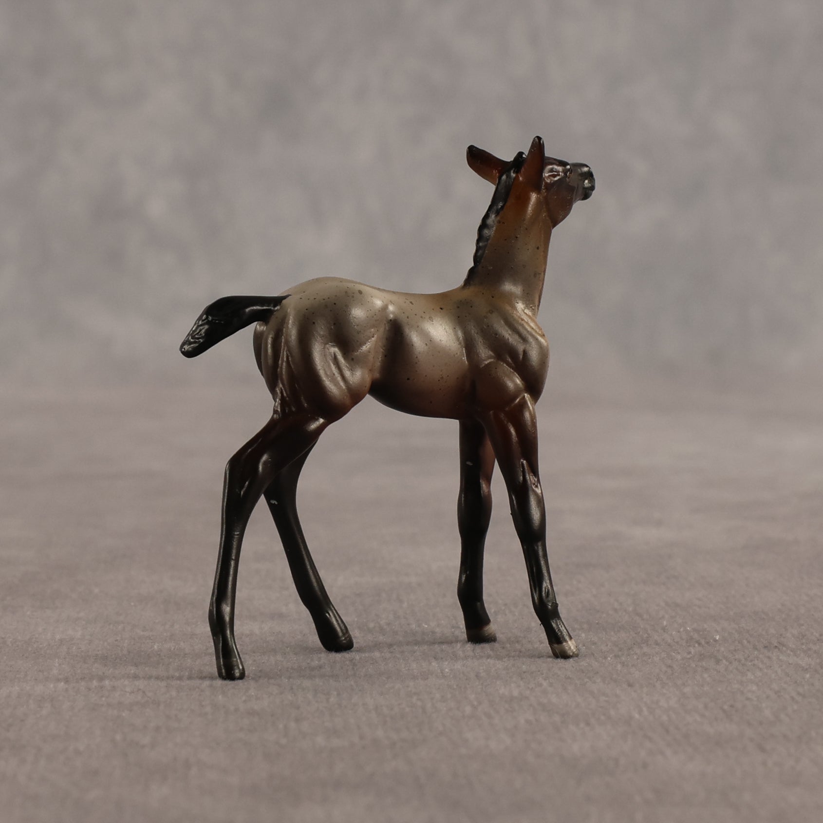 Cookie & Chocolate Chip OOAK Chip FCM Stock Horse & Chip Foal by Anna Rieck SCD26