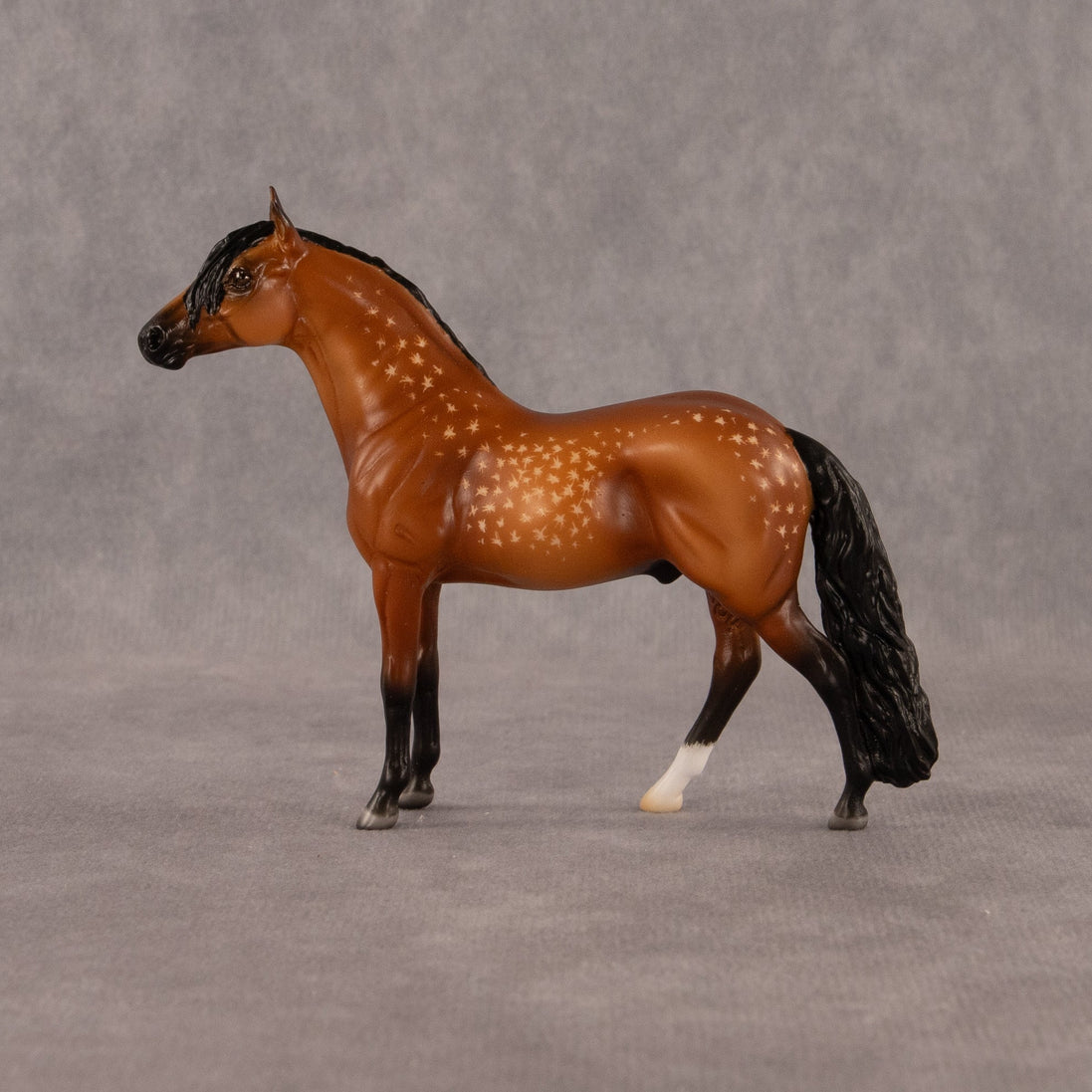 Chocolate Chip Cookie Dough OOAK Chip Andalusian by Madi Wiseman EQ26
