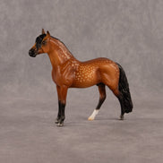 Chocolate Chip Cookie Dough OOAK Chip Andalusian by Madi Wiseman EQ26