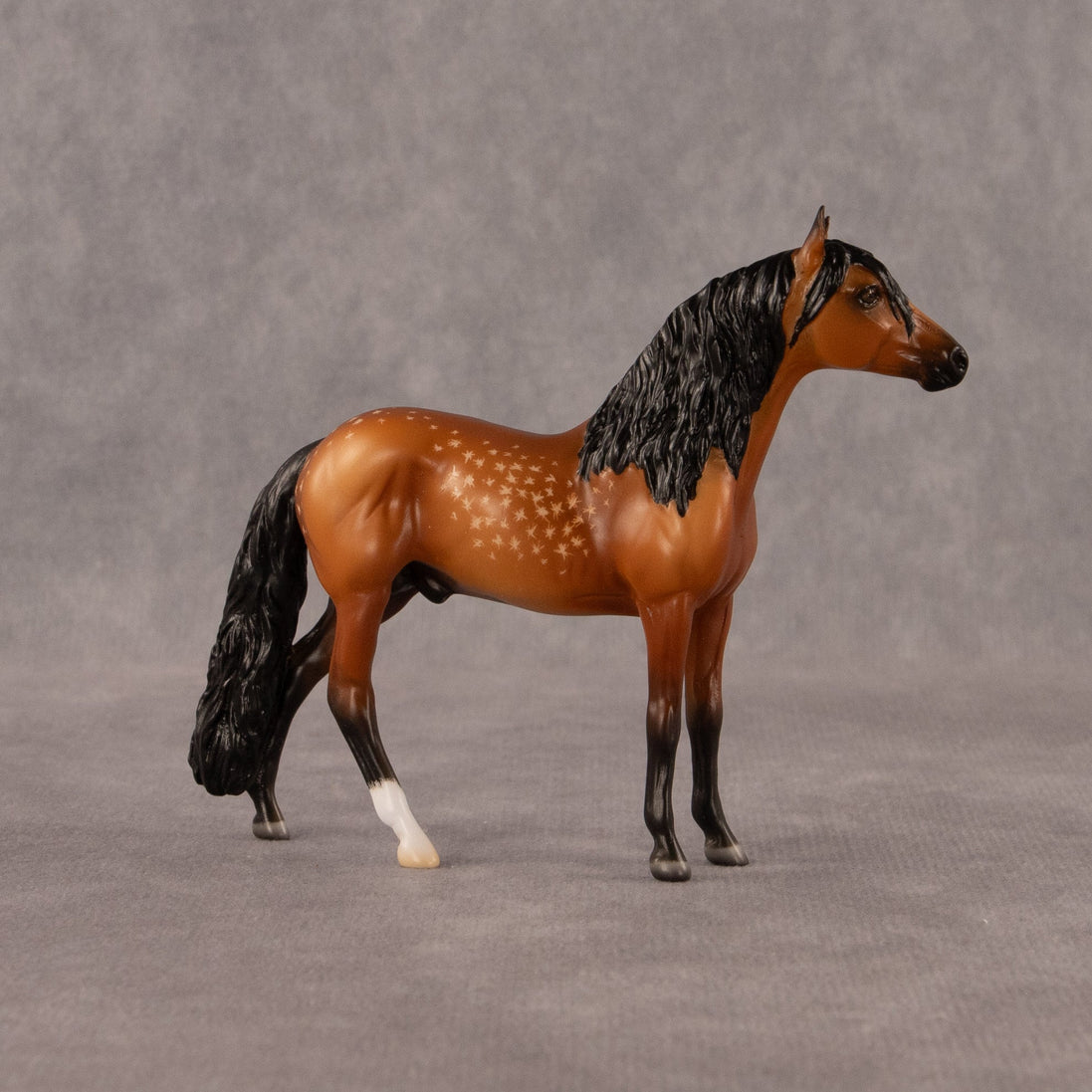 Chocolate Chip Cookie Dough OOAK Chip Andalusian by Madi Wiseman EQ26
