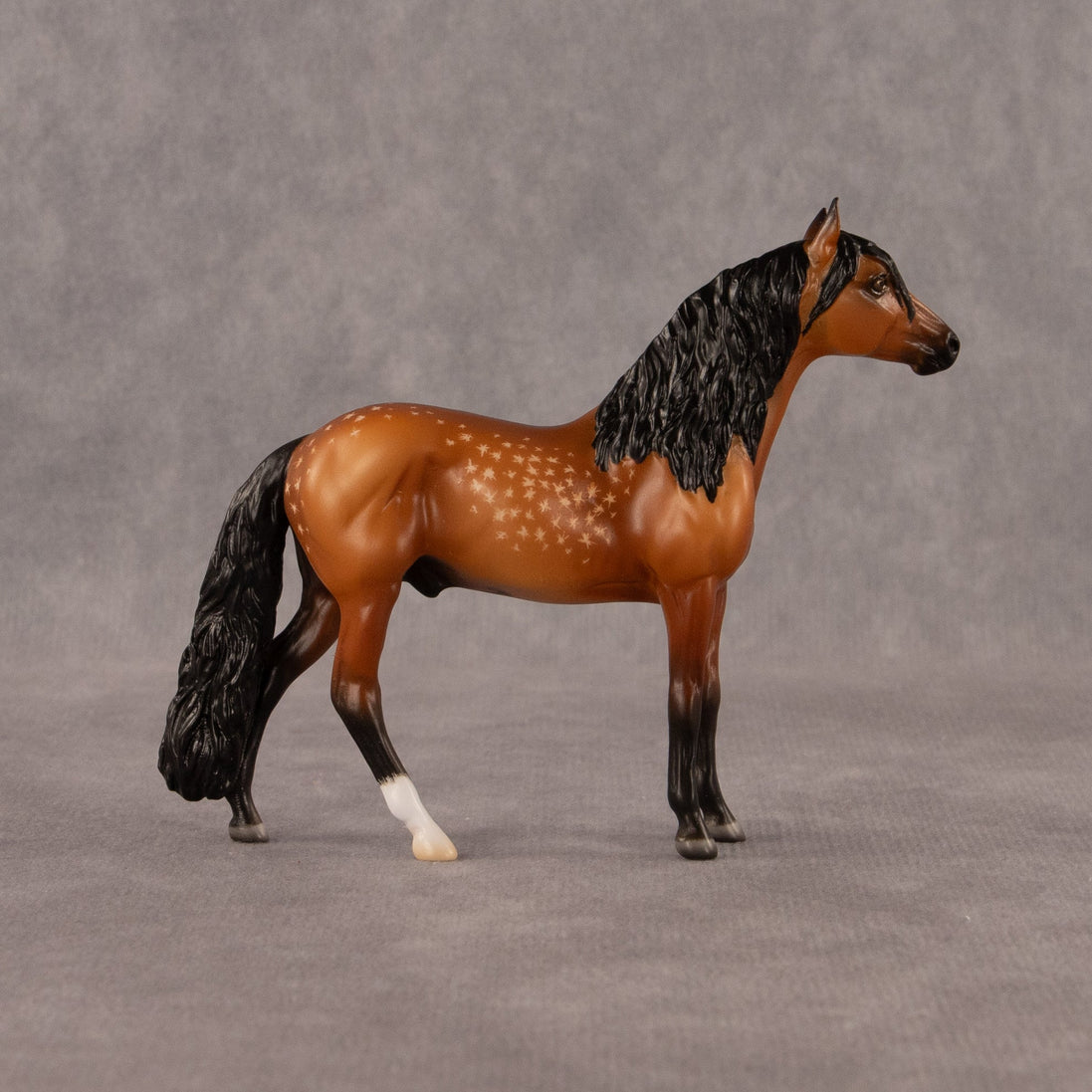 Chocolate Chip Cookie Dough OOAK Chip Andalusian by Madi Wiseman EQ26