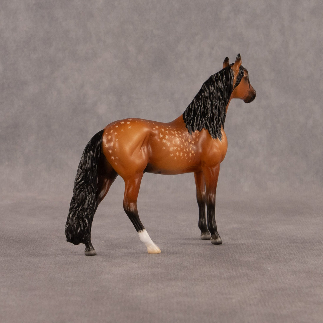 Chocolate Chip Cookie Dough OOAK Chip Andalusian by Madi Wiseman EQ26