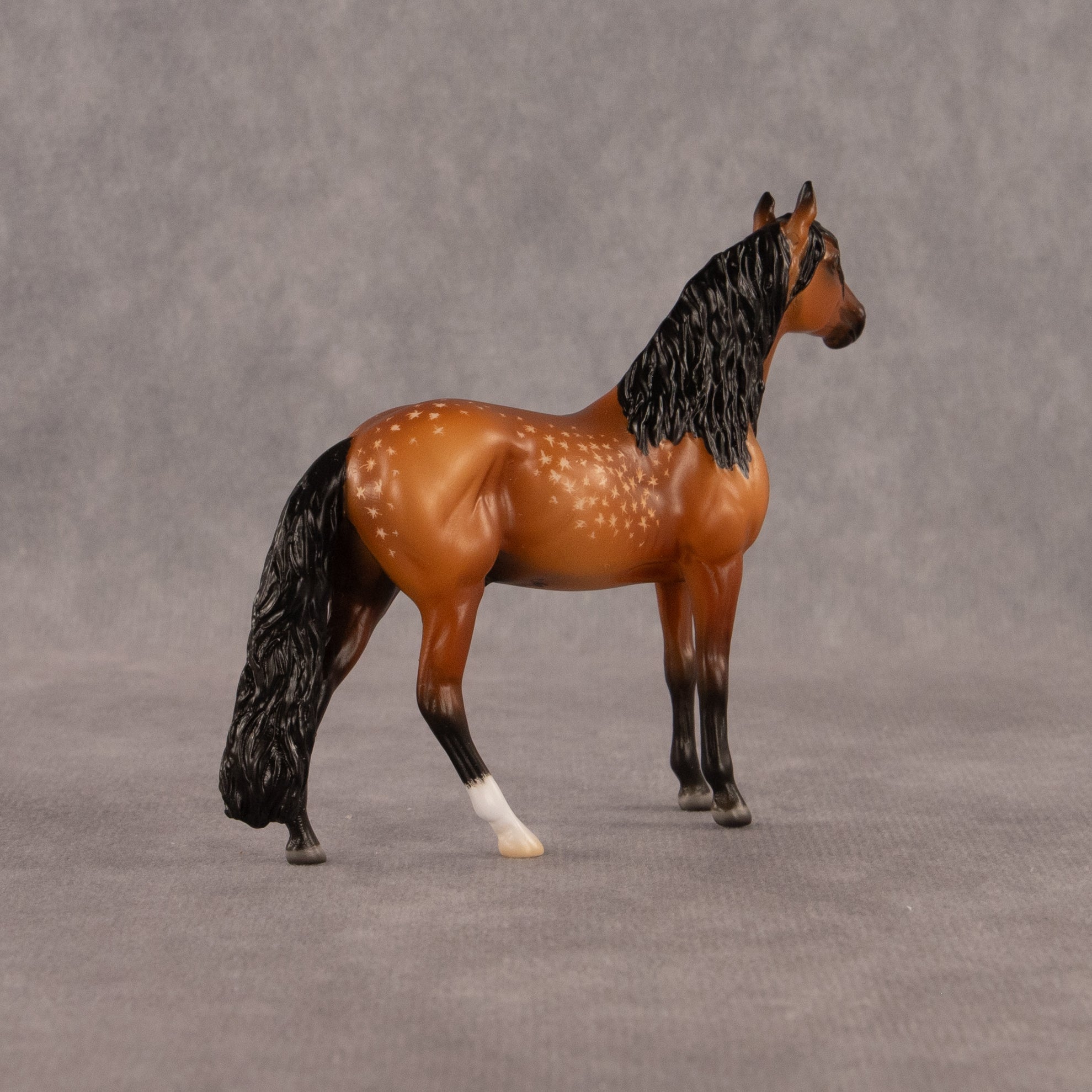 Chocolate Chip Cookie Dough OOAK Chip Andalusian by Madi Wiseman EQ26