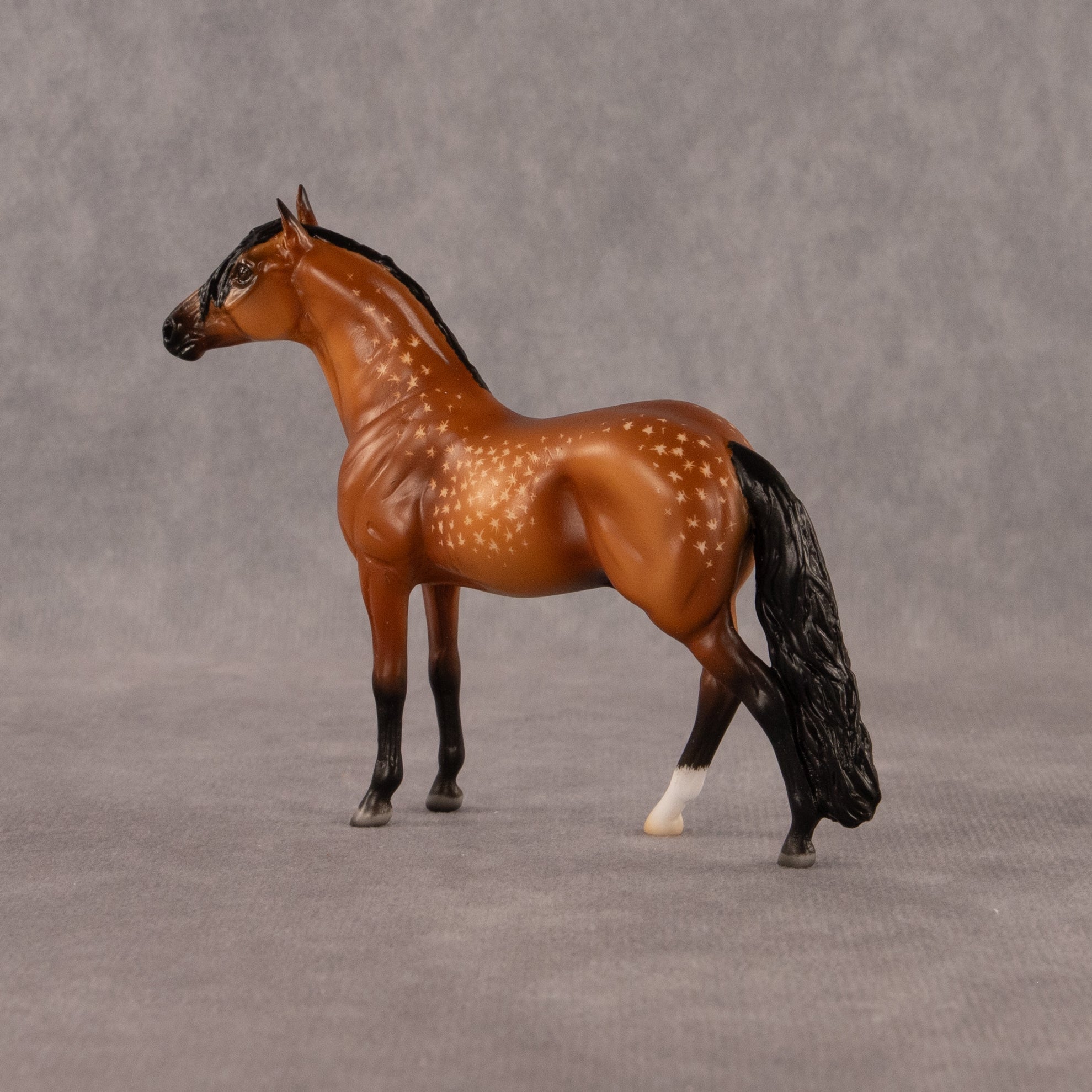 Chocolate Chip Cookie Dough OOAK Chip Andalusian by Madi Wiseman EQ26
