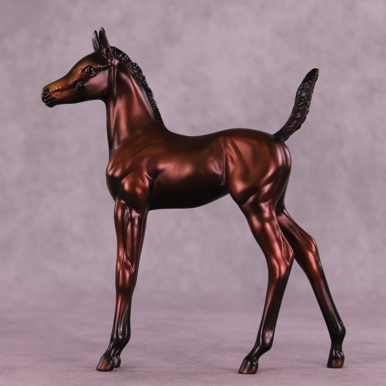 Chocolate Chip OOAK Arabian Foal by Jess Hamill MM25 Group B
