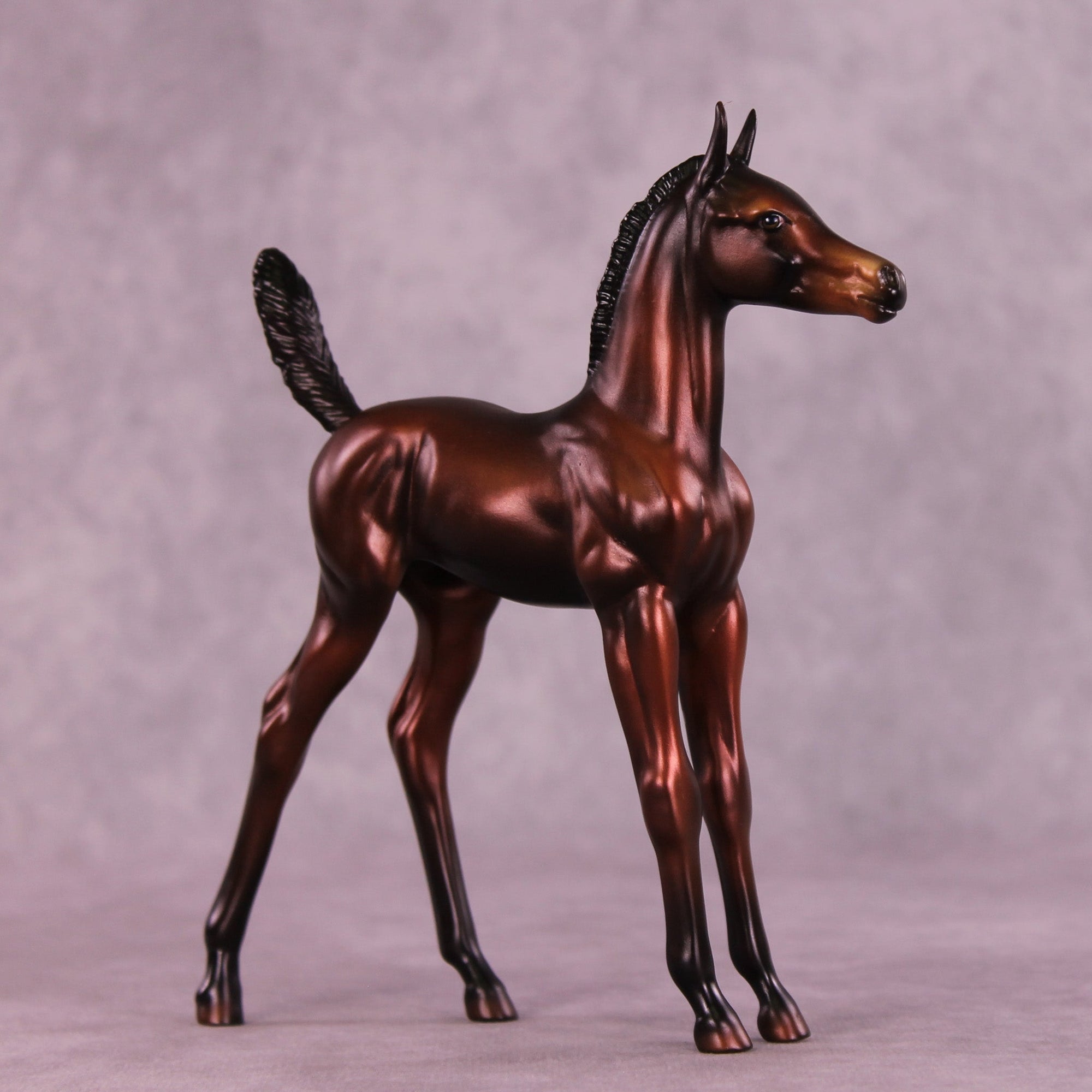 Chocolate Chip OOAK Arabian Foal by Jess Hamill MM25 Group B
