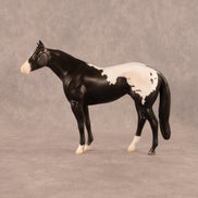 Chocolate Chunk OOAK Chip Stock Horse by Madi Wiseman EQ26