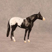 Chocolate Chunk OOAK Chip Stock Horse by Madi Wiseman EQ26