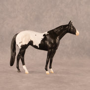 Chocolate Chunk OOAK Chip Stock Horse by Madi Wiseman EQ26