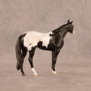 Chocolate Chunk OOAK Chip Stock Horse by Madi Wiseman EQ26