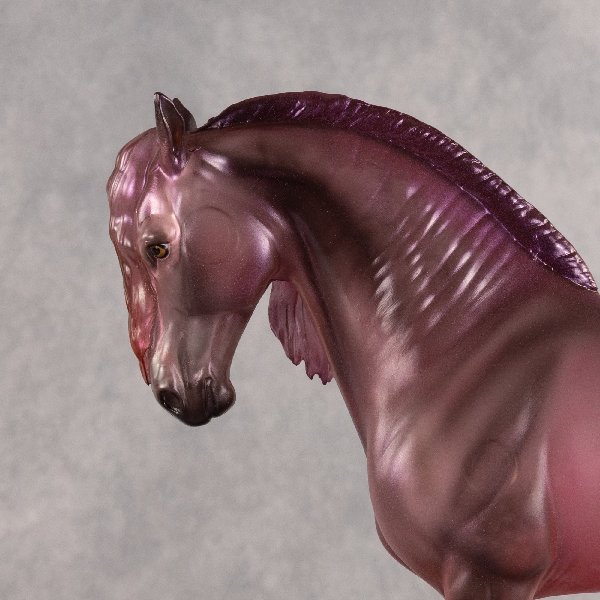 Chrysalis OOAK FCM Andalusian by Angela Marleau Best Offer 8.4.2026