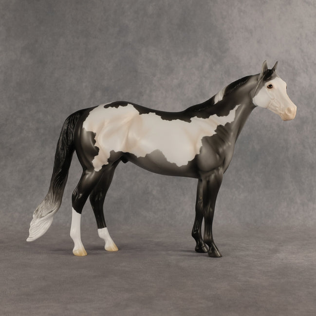 Clay OOAK Ideal Stock Horse by Madi Wiseman EQ26