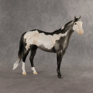 Clay OOAK Ideal Stock Horse by Madi Wiseman EQ26