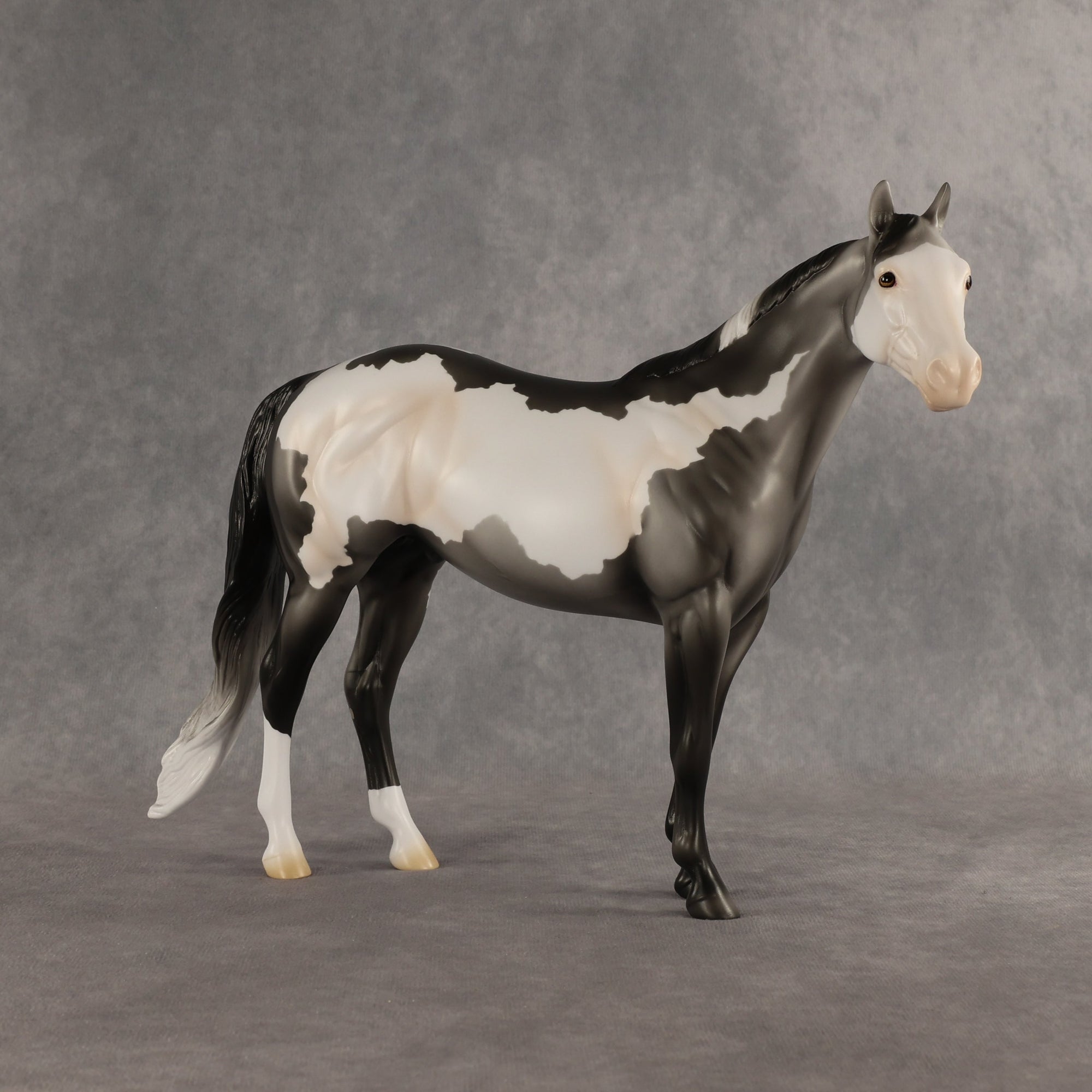 Clay OOAK Ideal Stock Horse by Madi Wiseman EQ26
