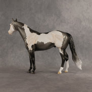 Clay OOAK Ideal Stock Horse by Madi Wiseman EQ26